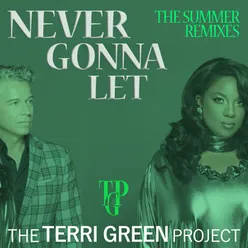 Never Gonna Let The Summer Remixes