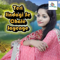 Teri Jindagi Se Chale Jayenge