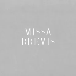 Missa brevis: Sanctus