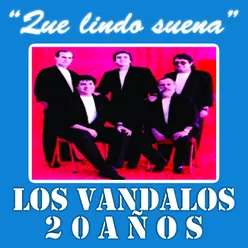 Los Vandalos - 20 Años