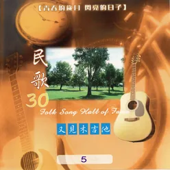 民歌30 又見木吉他5