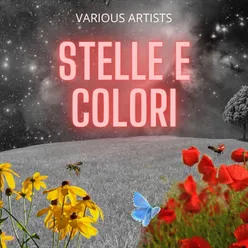 Stelle e colori