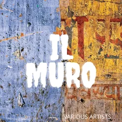 Il muro