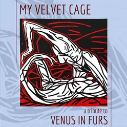My Velvet Cage A Tribute To Venus In Furs