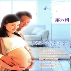 幸福胎教音樂 第六輯 Prenatal Education Music