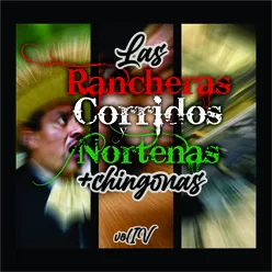 Las Rancheras, Corridos y Norteñas +Chingonas!, Vol. IV