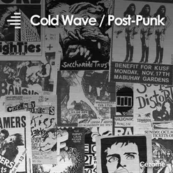 Cold Wave / Post-Punk