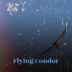 Flying Condor