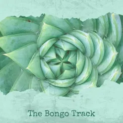 The Bongo Track