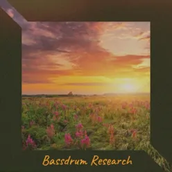 Bassdrum Research