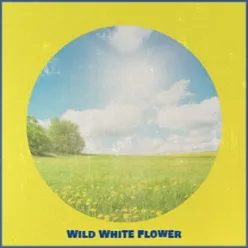 Wild White Flower