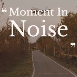 Moment in Noise