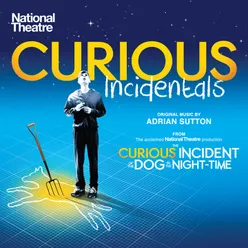 Curious Incidentals From the National Theatre production 'The Curious Incident of the Dog in the Night-Time'
