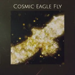 Cosmic Eagle Fly