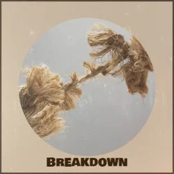 Breakdown