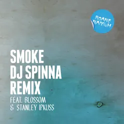 Smoke DJ Spinna Galactic Funk Remix