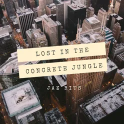 Lost in the Concrete Jungle