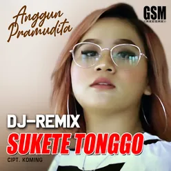 DJ Remix Sukete Tonggo