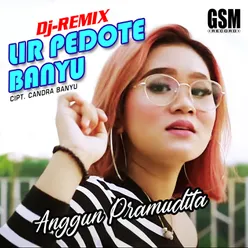 DJ Remix Lir Pedote Banyu