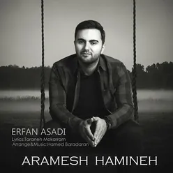 Aramesh Hamineh