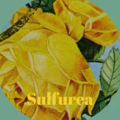 Sulfurea