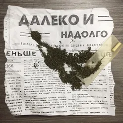 Далеко и надолго