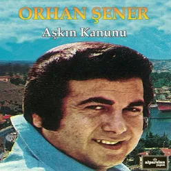 Seni Nasıl Sevdim