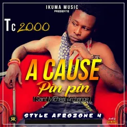 A Cause des Pin Pin Style Afrozone 4