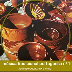 Musica Tradicional Portuguesa N1 Acordeon, Guitarra E Ritmo