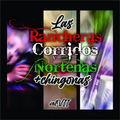 Las Rancheras, Corridos y Norteñas +Chingonas!, Vol. VII