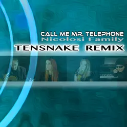 Call Me Mr. Telephone Radio Edit