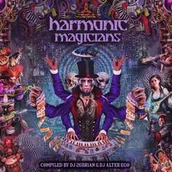 Harmonic Magicians Compiled by DJ 26brian & DJ Alter Ego