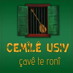 Çavê Te Ronî