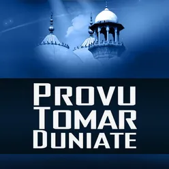 Provu Tomar Doyei