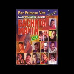 Bachata Clasica Mix de los 90 !!!! Lo Mejor de la Bachata Vieja y Buena