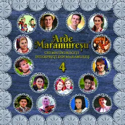 Arde Maramureşu', Vol. 4 Cei Mai Îndrăgiţi Interpreţi Din Maramureş