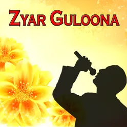 Zyar Guloona