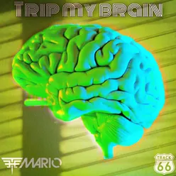 Trip My Brain