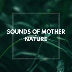 Sounds of Mother Nature