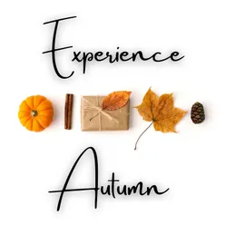 Experience Autumn