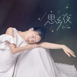 情是故乡浓 DJ Version