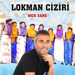 Şexani