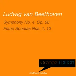 Piano Sonata No. 1 in F Minor, Op. 2 No. 1: I. Allegro