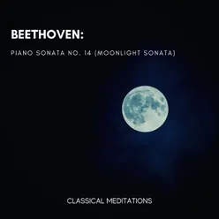 Piano Sonata No. 14 in C-Sharp Minor, Op. 27 "Moonlight Sonata": II. Allegretto