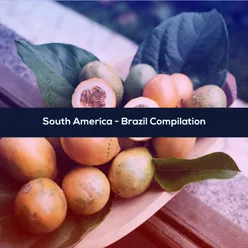 SOUTH AMERICA - BRAZIL COMPILATION