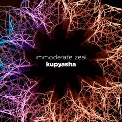 Immoderate Zeal