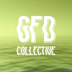 Æðrarnar GFD Collective