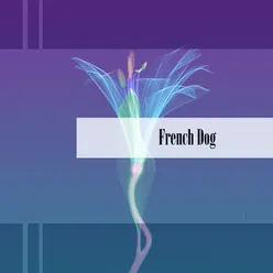 French Dog