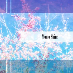 Momo Shine