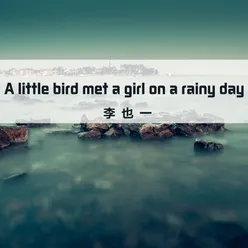 A Little Bird Met a Girl on a Rainy Day